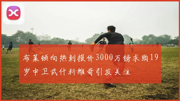 布莱顿向热刺报价3000万镑求购19岁中卫武什科维奇引发关注